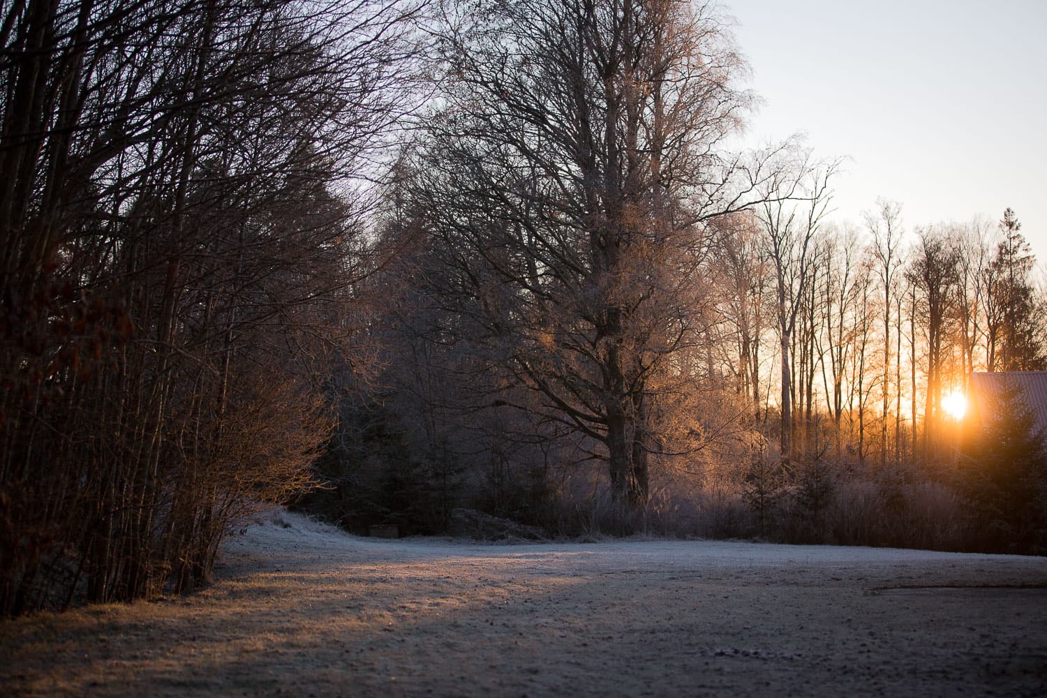 Frostmorgon vid skolan