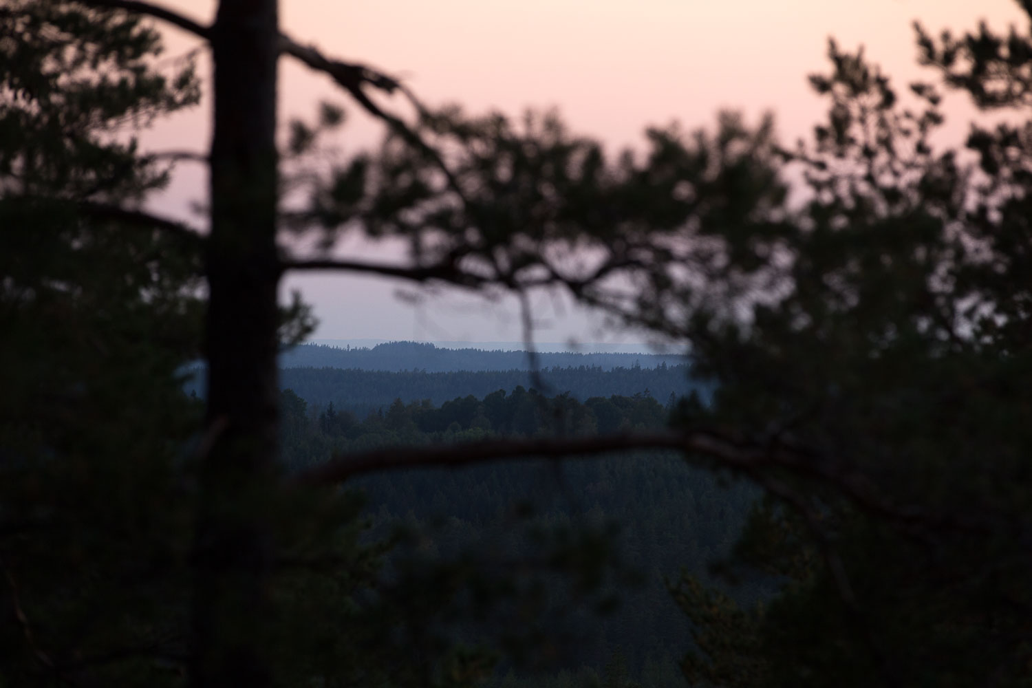 Utsikt från Stora Fjällets naturreservat
