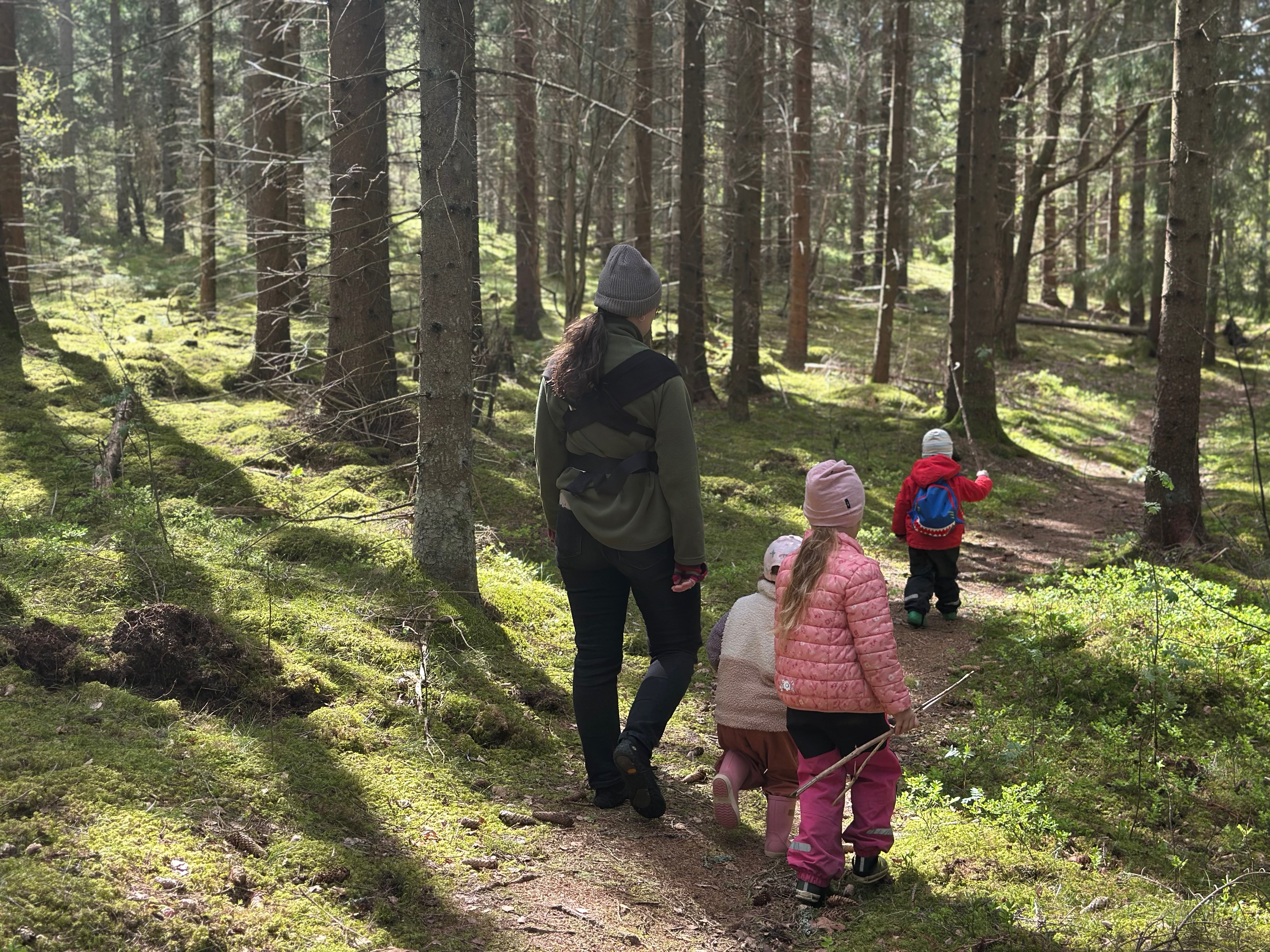 Tivedens nationalpark